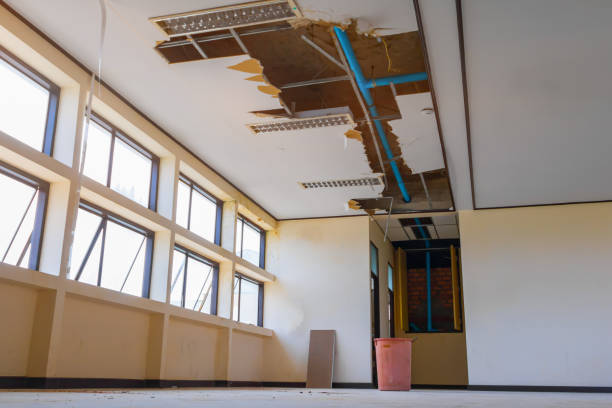 Best Carpet water damage restoration  in Shattuck, OK
