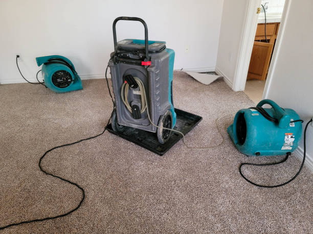 Best Water damage restoration near me  in Shattuck, OK