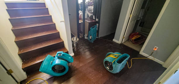 Best Water damage restoration near me  in Shattuck, OK