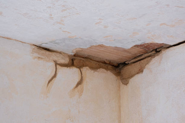 Best Fire Damage Restoration  in Shattuck, OK
