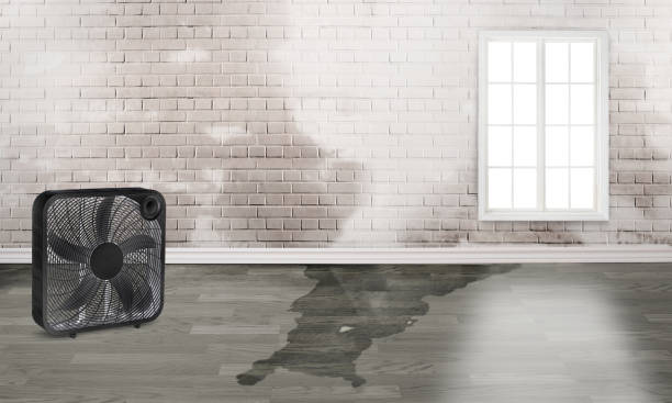 Best Commercial water damage restoration  in Shattuck, OK