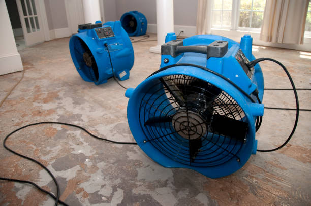 Best Flooded house restoration  in Shattuck, OK