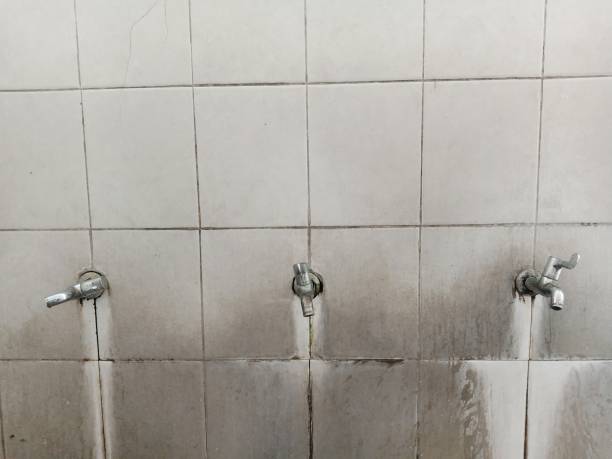 Best Water damage restoration services  in Shattuck, OK