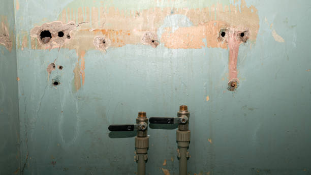 Best Carpet water damage restoration  in Shattuck, OK